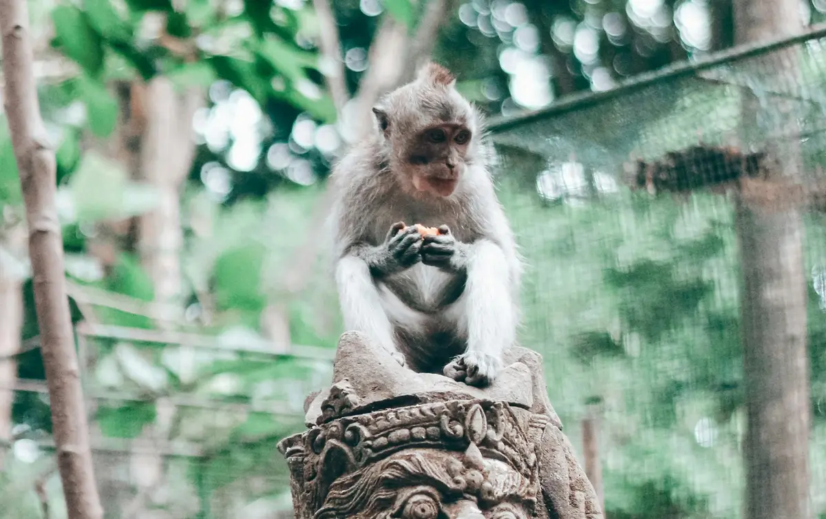 Ubud